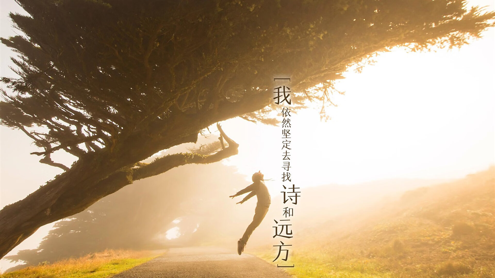 2015年突破：库里吓跑联盟众多防守巨头的“藏剑出鞘”时刻，2015年总决赛库里数据统计