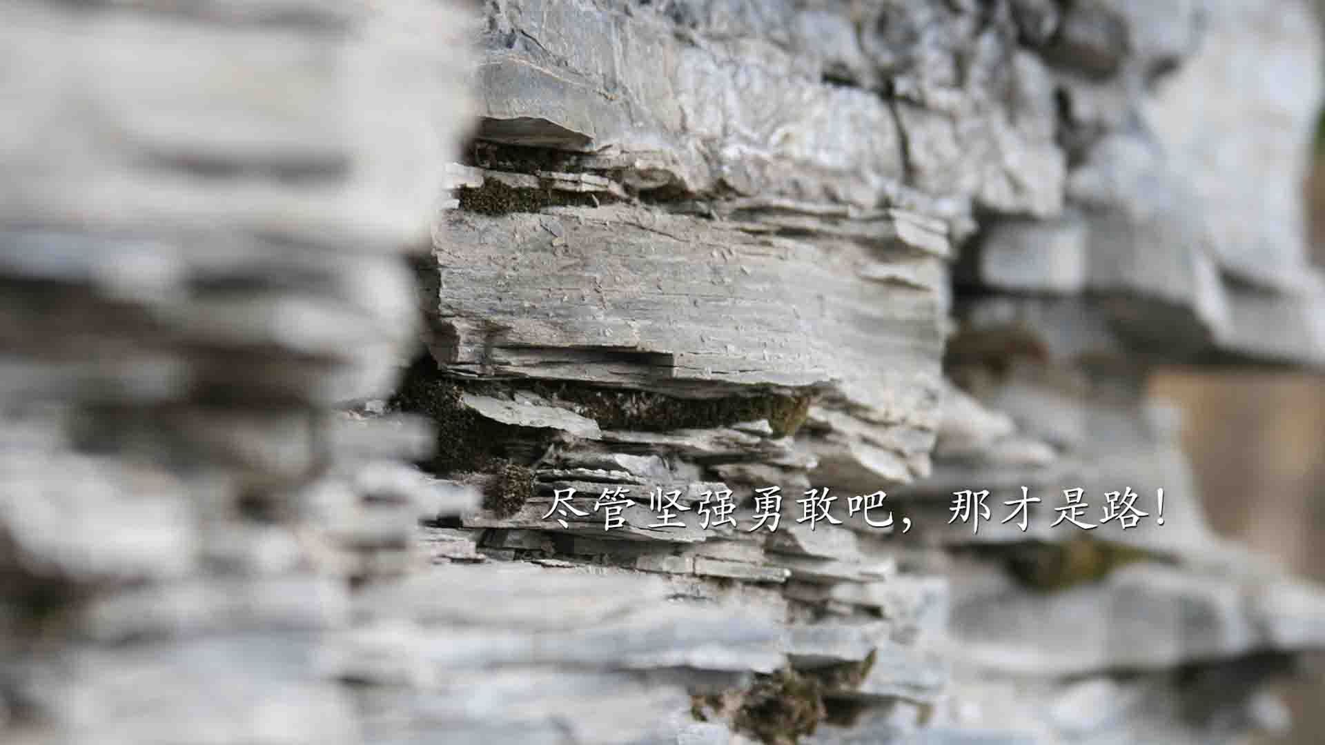 _奇才队战术新颖，胜利在望_，奇才队伍