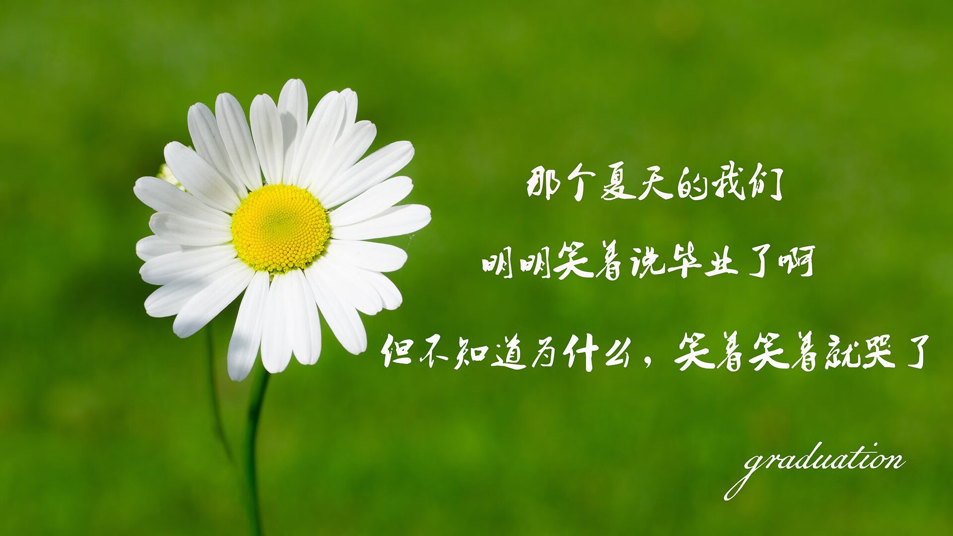 “迷你战术课：掘金挡拆战术深度分析”，掘金防守