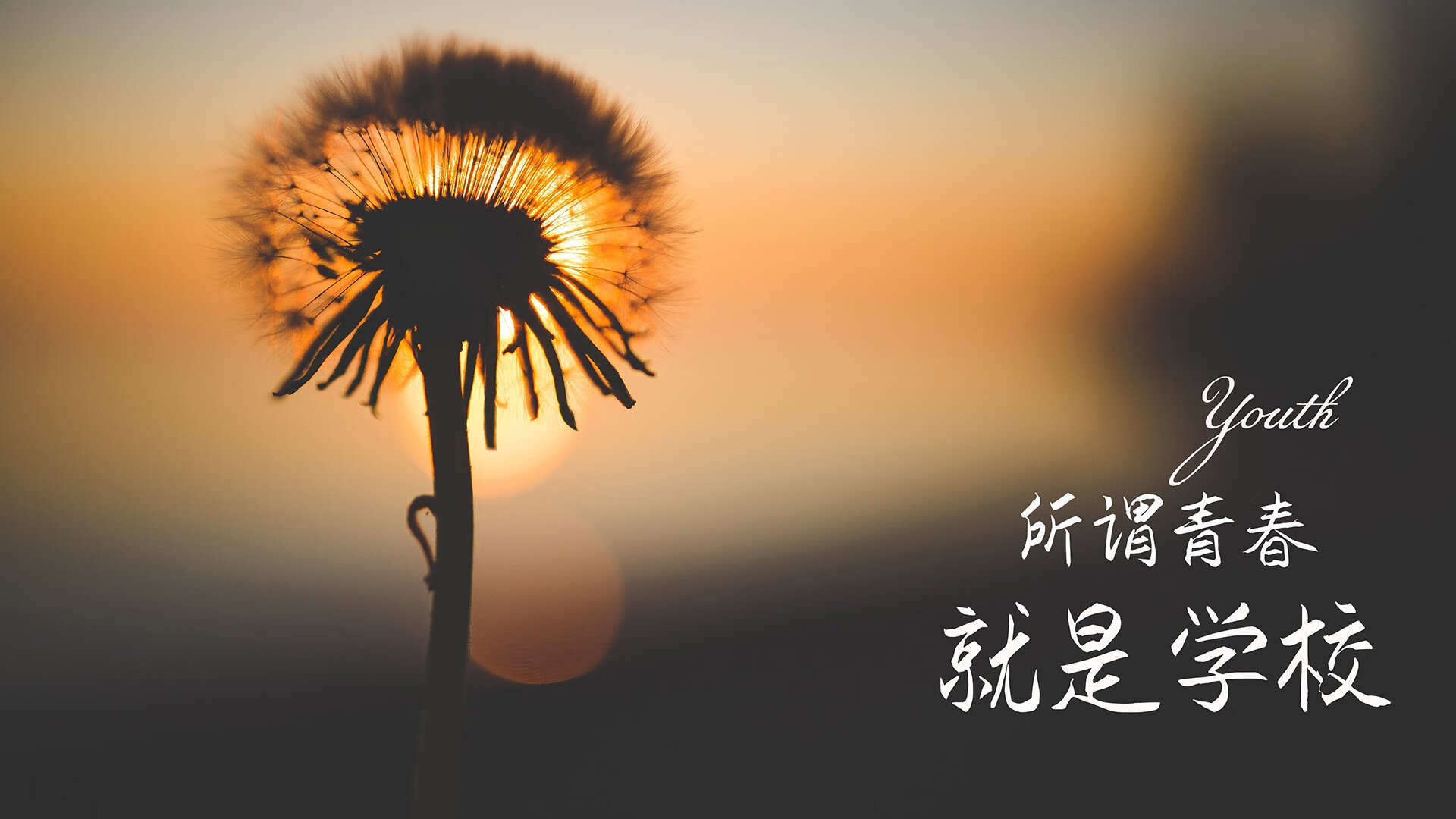 全国青少年篮球联赛新赛季火热开幕，少年天才持续涌现，2021全国青少年篮球联赛