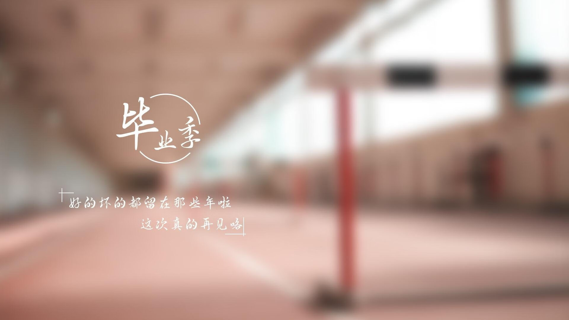 康纳·麦克戴维荣膺季后赛MVP，麦克·康纳利