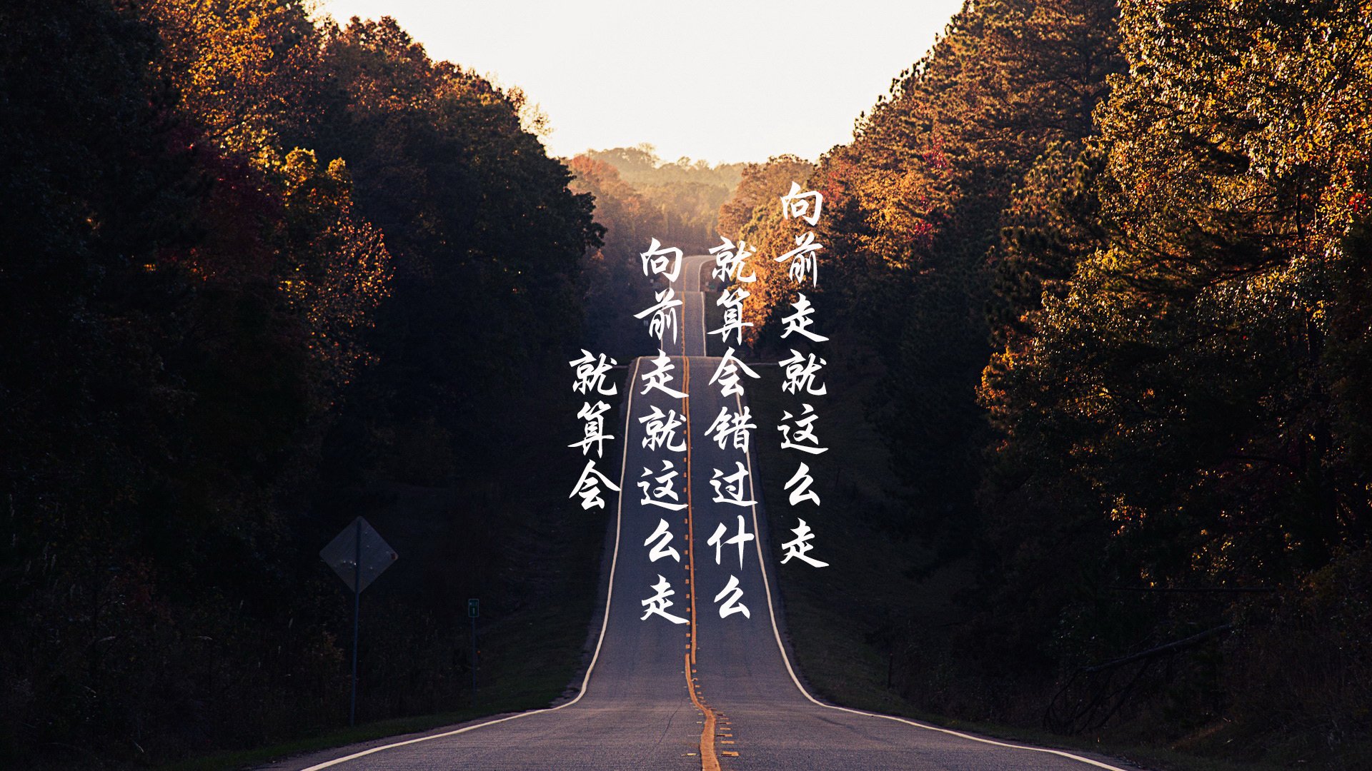 篮球职业联赛观众互动体验创新升级，篮球职业联盟
