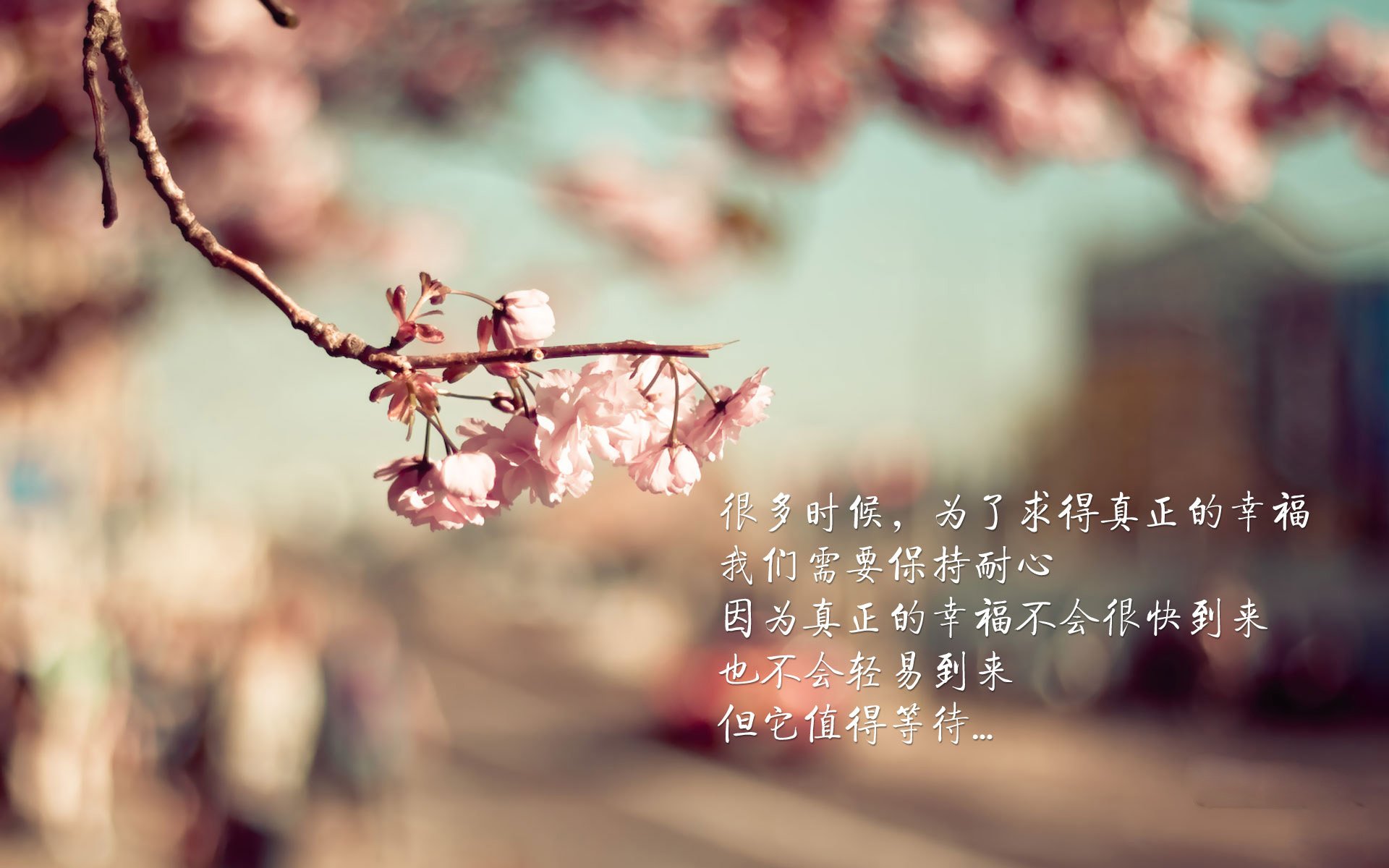 英超最新轮次积分榜，悬念仍在持续，英超积分榜情况