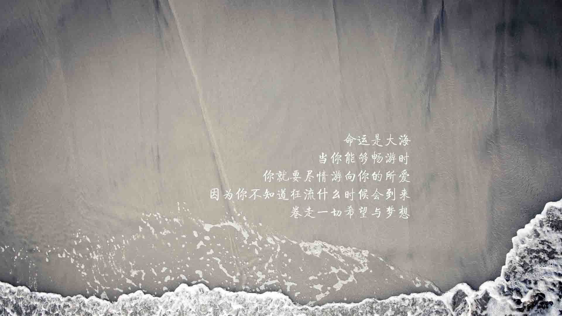 中国足球青少年赛事组织建立评估反馈模型，中国青少年足球发展计划领导办公室