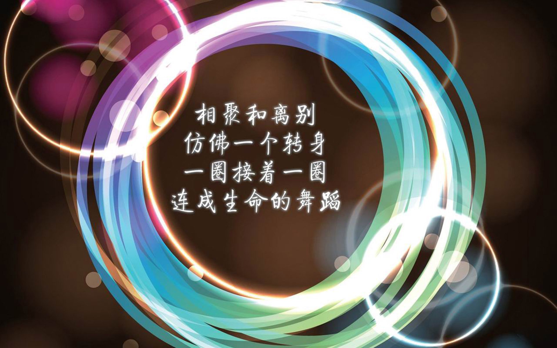 南非橄榄球走向世界，全球球迷基础日益扩大，95南非橄榄球